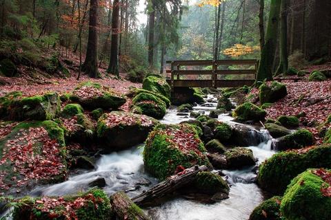 Themenwoche: Wandern im Wanderparadies Teutoburger Wald